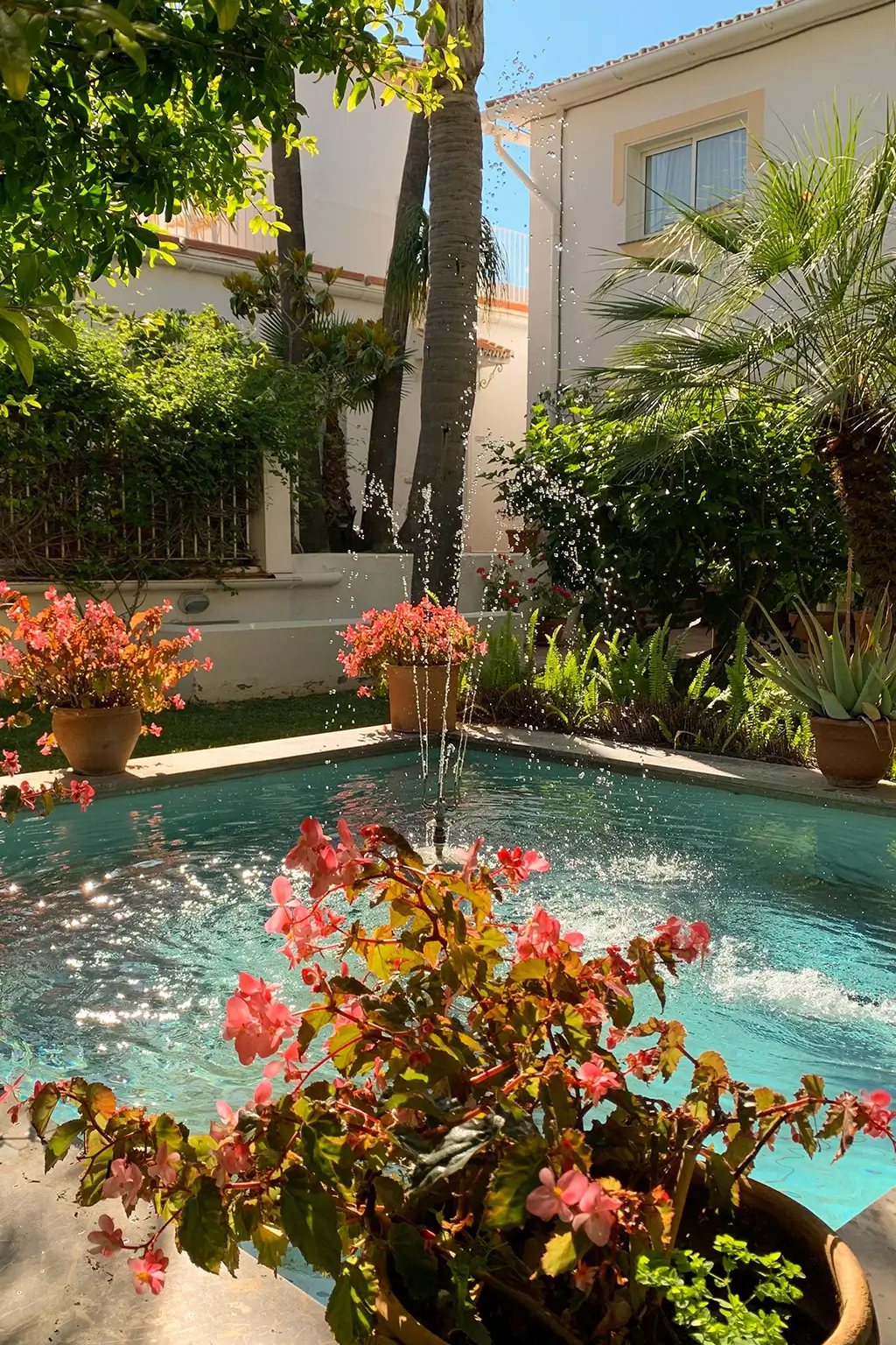 Hermosa fuente en los jardines del hotel Paraíso del mar